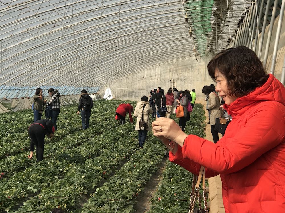 九游会集团有限公司内容图片展示